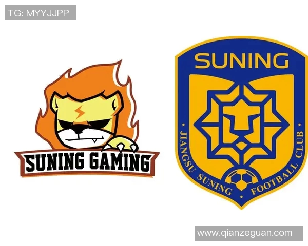 独家解析RNG灵活性与S15电竞战队的策略对比分析