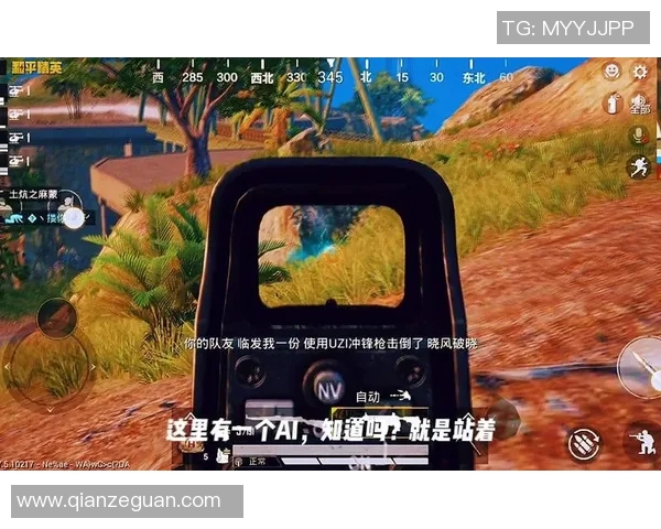 和平精英战术BLG进攻体系解析与实战应用策略探讨